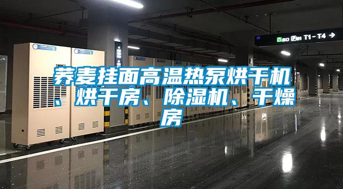 蕎麥掛面高溫熱泵烘干機、烘干房、除濕機、干燥房