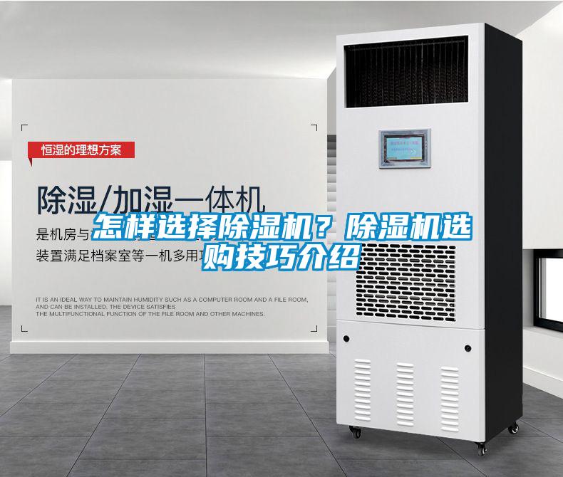 怎樣選擇除濕機？除濕機選購技巧介紹