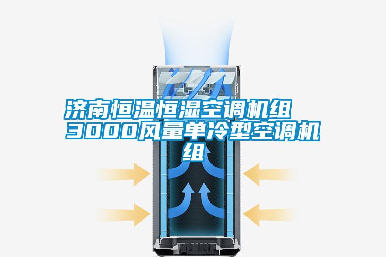 濟南恒溫恒濕空調機組  3000風(fēng)量單冷型空調機組