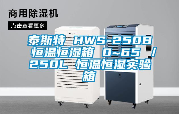 泰斯特 HWS-250B 恒溫恒濕箱 0~65℃／250L 恒溫恒濕實(shí)驗箱
