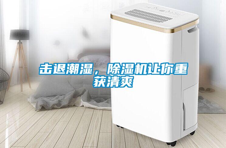 擊退潮濕，除濕機讓你重獲清爽