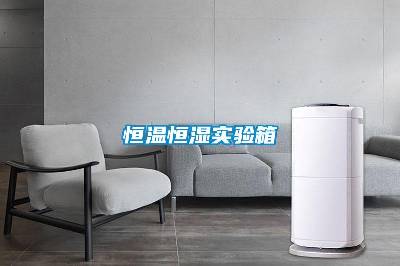 恒溫恒濕實(shí)驗箱