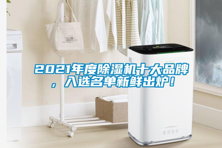 2021年度除濕機十大品牌，入選名單新鮮出爐！