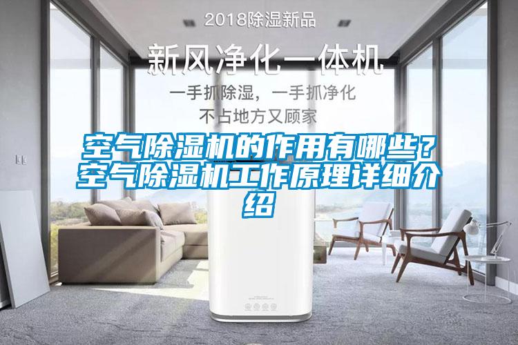 空氣除濕機的作用有哪些？空氣除濕機工作原理詳細介紹