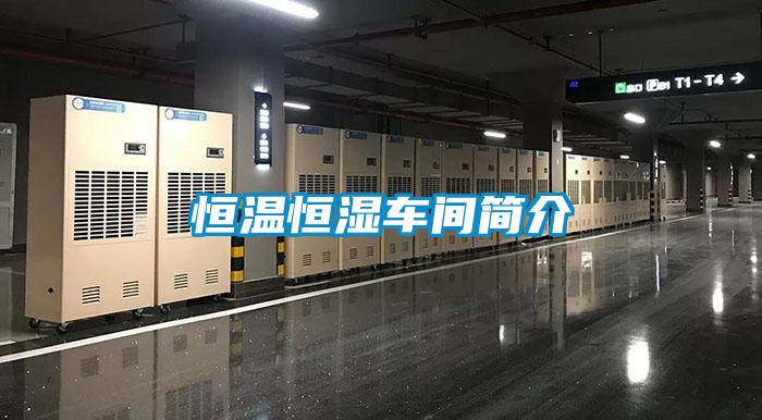 恒溫恒濕車(chē)間簡(jiǎn)介