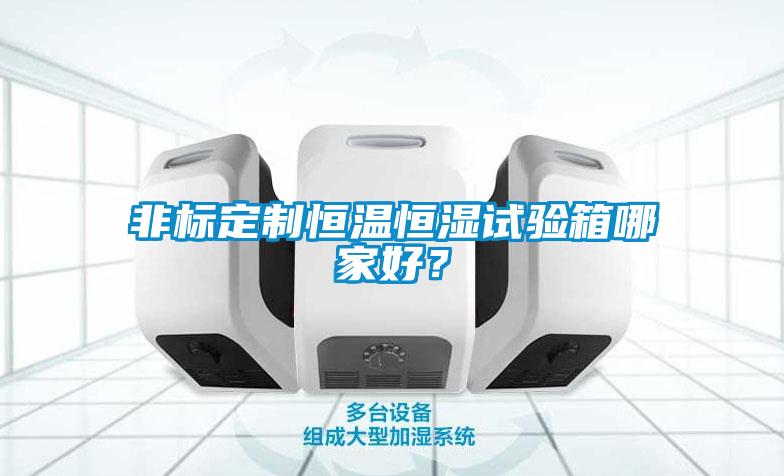 非標定制恒溫恒濕試驗箱哪家好？