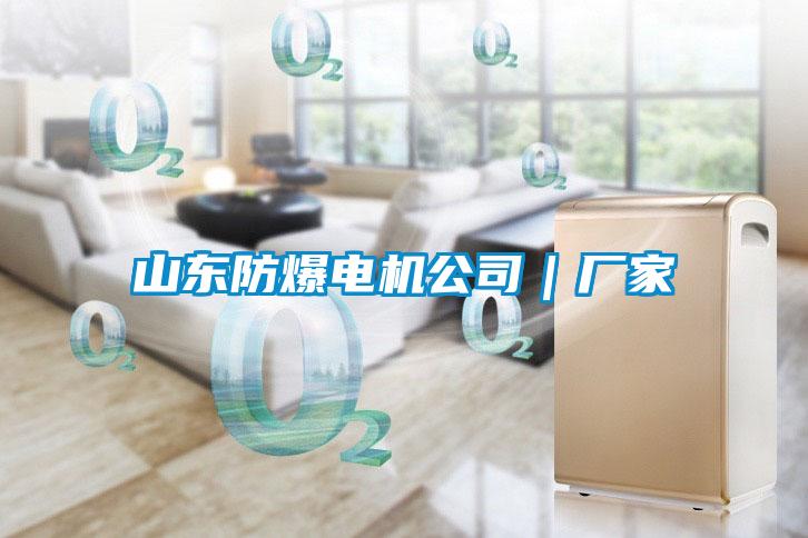 山東防爆電機公司｜廠(chǎng)家