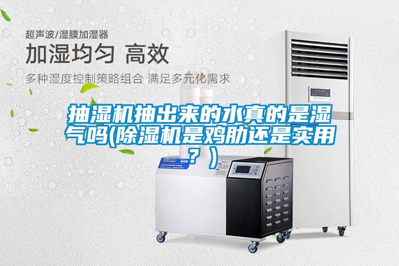 抽濕機抽出來(lái)的水真的是濕氣嗎(除濕機是雞肋還是實(shí)用？)