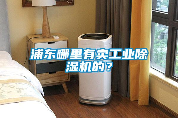 浦東哪里有賣(mài)工業(yè)除濕機的？