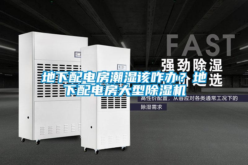 地下配電房潮濕該咋辦？地下配電房大型除濕機