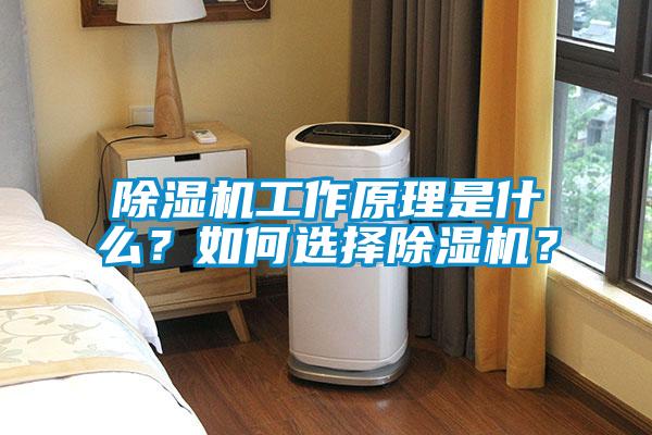 除濕機工作原理是什么？如何選擇除濕機？