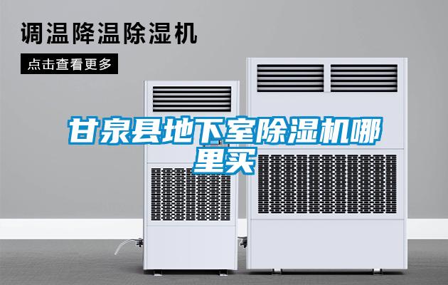 甘泉縣地下室除濕機哪里買(mǎi)