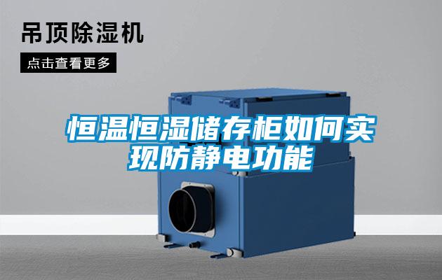 恒溫恒濕儲存柜如何實(shí)現防靜電功能