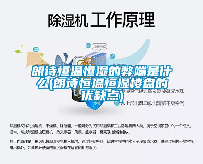 朗詩(shī)恒溫恒濕的弊端是什么(朗詩(shī)恒溫恒濕樓盤(pán)的優(yōu)缺點(diǎn))