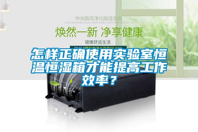 怎樣正確使用實(shí)驗室恒溫恒濕箱才能提高工作效率？