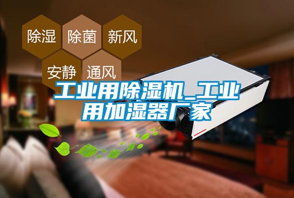 工業(yè)用除濕機_工業(yè)用加濕器廠(chǎng)家