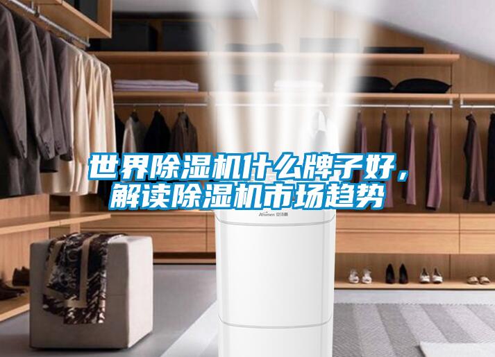 世界除濕機什么牌子好，解讀除濕機市場(chǎng)趨勢