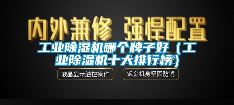工業(yè)除濕機哪個(gè)牌子好（工業(yè)除濕機十大排行榜）