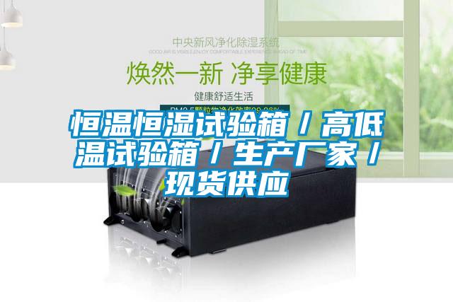 恒溫恒濕試驗箱／高低溫試驗箱／生產(chǎn)廠(chǎng)家／現貨供應