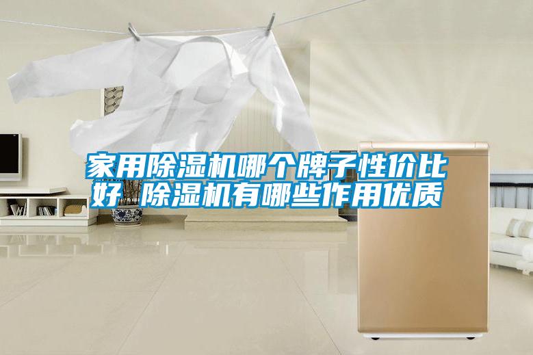 家用除濕機哪個(gè)牌子性?xún)r(jià)比好 除濕機有哪些作用優(yōu)質(zhì)