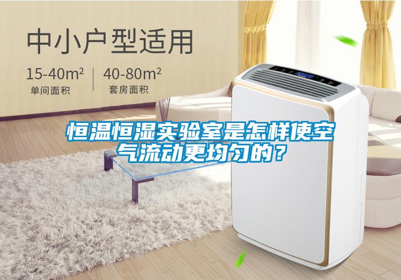 恒溫恒濕實(shí)驗室是怎樣使空氣流動(dòng)更均勻的？