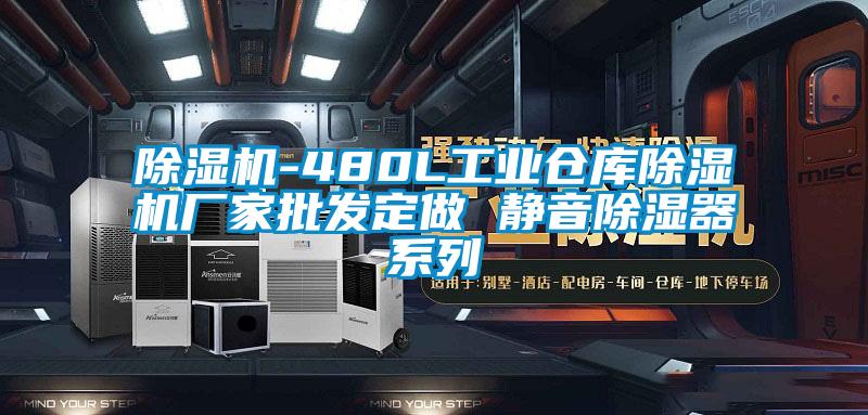除濕機-480L工業(yè)倉庫除濕機廠(chǎng)家批發(fā)定做 靜音除濕器系列