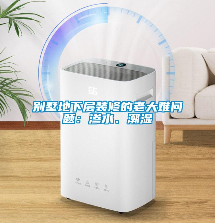 別墅地下層裝修的老大難問(wèn)題：滲水、潮濕