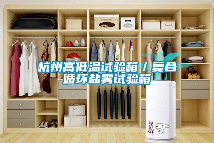 杭州高低溫試驗箱／復合循環(huán)鹽霧試驗箱