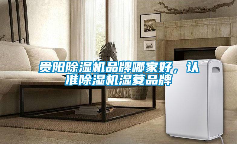 貴陽(yáng)除濕機品牌哪家好，認準除濕機濕菱品牌