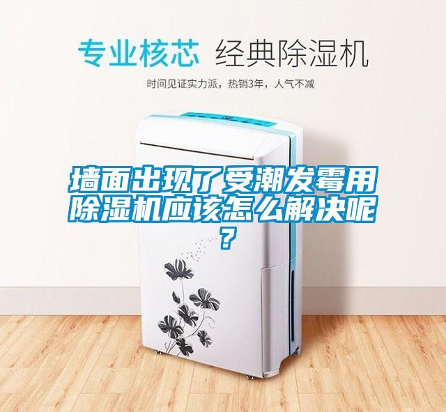 墻面出現了受潮發(fā)霉用除濕機應該怎么解決呢？