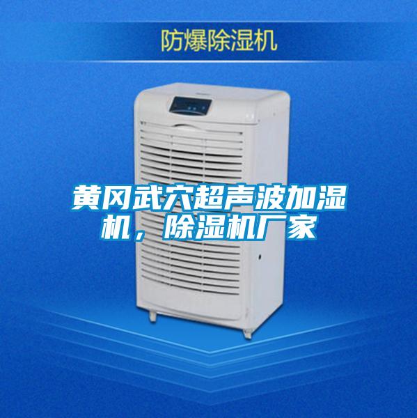 黃岡武穴超聲波加濕機，除濕機廠(chǎng)家