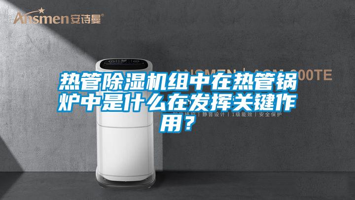 熱管除濕機組中在熱管鍋爐中是什么在發(fā)揮關(guān)鍵作用？