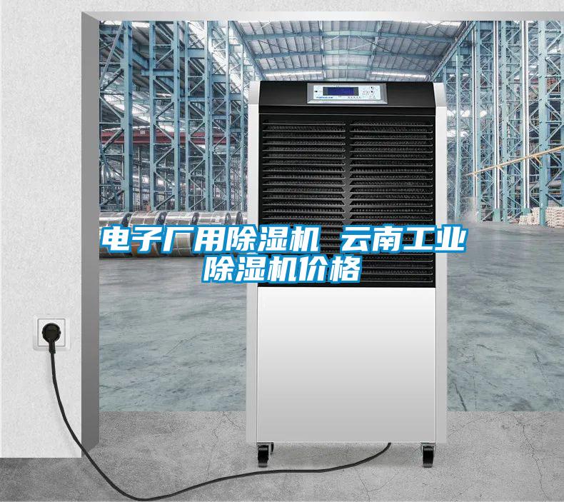 電子廠(chǎng)用除濕機 云南工業(yè)除濕機價(jià)格