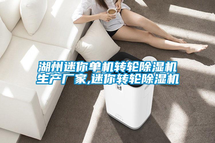 湖州迷你單機轉輪除濕機生產(chǎn)廠(chǎng)家,迷你轉輪除濕機