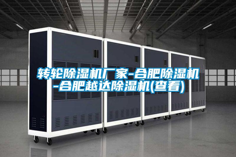 轉輪除濕機廠(chǎng)家-合肥除濕機-合肥越達除濕機(查看)
