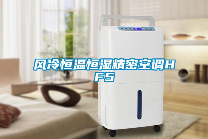 風(fēng)冷恒溫恒濕精密空調HF5