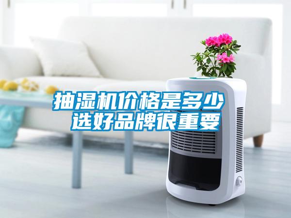 抽濕機價(jià)格是多少 選好品牌很重要