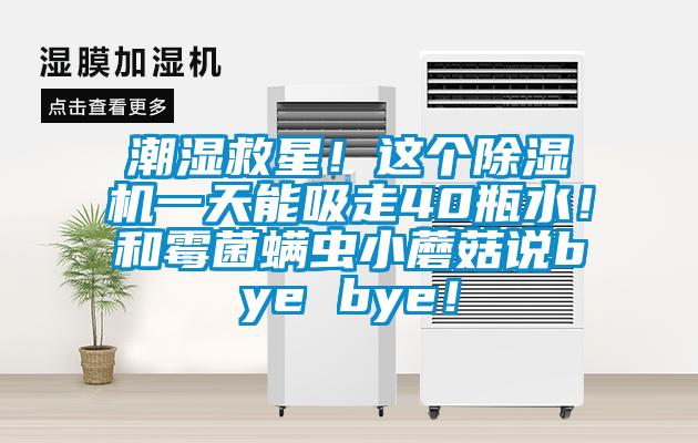 潮濕救星！這個(gè)除濕機一天能吸走40瓶水！和霉菌螨蟲(chóng)小蘑菇說(shuō)bye bye！