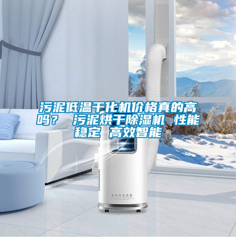 污泥低溫干化機價(jià)格真的高嗎？ 污泥烘干除濕機 性能穩定 高效智能