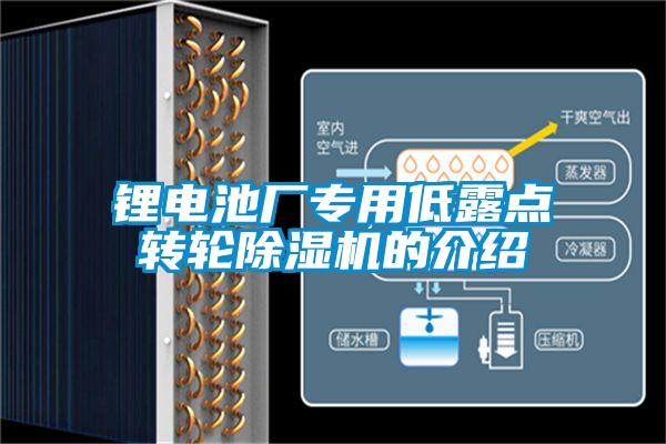 鋰電池廠(chǎng)專(zhuān)用低露點(diǎn)轉輪除濕機的介紹