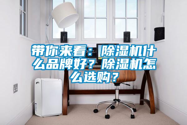 帶你來(lái)看：除濕機什么品牌好？除濕機怎么選購？