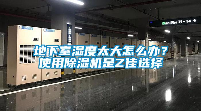 地下室濕度太大怎么辦？使用除濕機是Z佳選擇