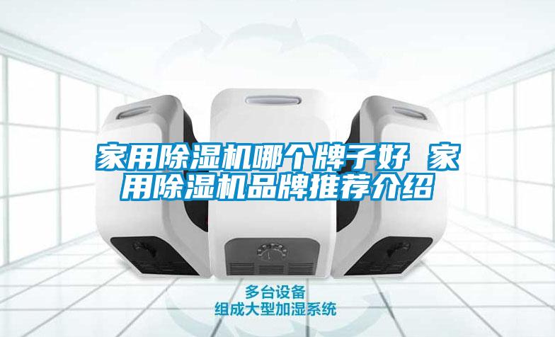 家用除濕機哪個(gè)牌子好 家用除濕機品牌推薦介紹