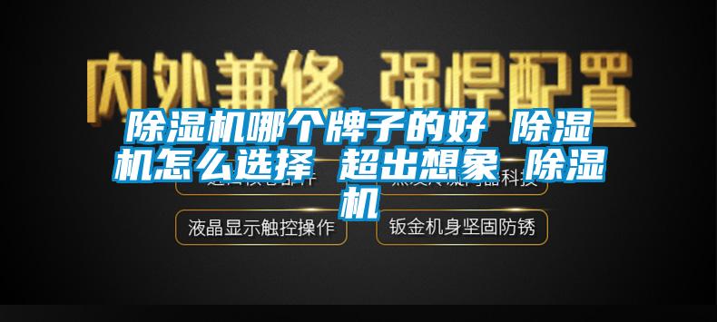 除濕機哪個(gè)牌子的好 除濕機怎么選擇 超出想象 除濕機