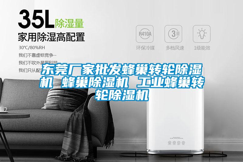 東莞廠(chǎng)家批發(fā)蜂巢轉輪除濕機 蜂巢除濕機 工業(yè)蜂巢轉輪除濕機
