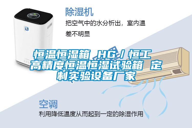 恒溫恒濕箱 HG／恒工 高精度恒溫恒濕試驗箱 定制實(shí)驗設備廠(chǎng)家