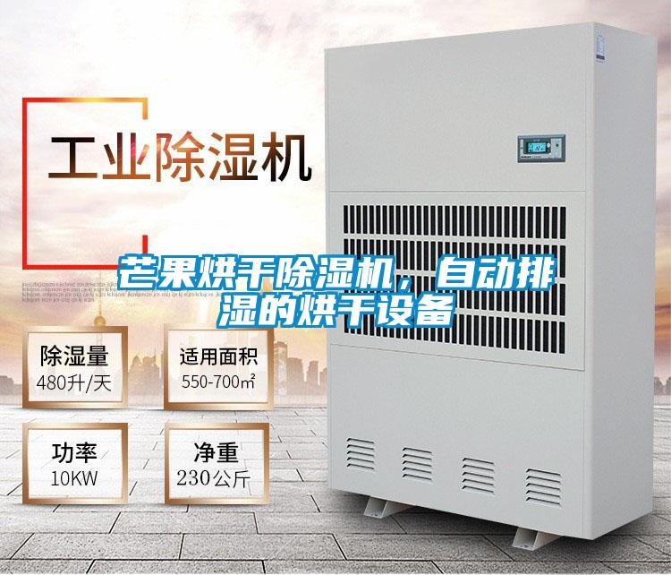 芒果烘干除濕機，自動(dòng)排濕的烘干設備