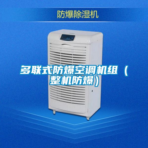 多聯(lián)式防爆空調機組（整機防爆）