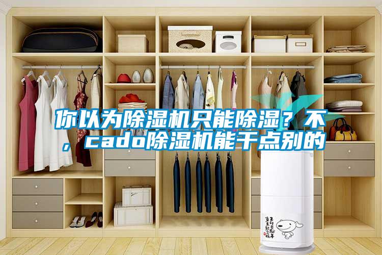 你以為除濕機只能除濕？不，cado除濕機能干點(diǎn)別的