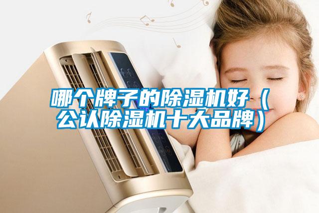 哪個(gè)牌子的除濕機好（公認除濕機十大品牌）